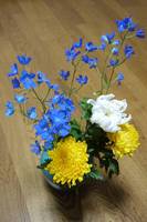 菊と、青い小さな花は何かなぁ