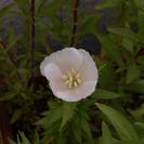 20120624_0.jpg