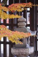 離宮八幡宮の境内にて