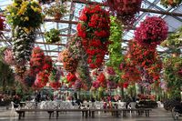 入り口を入ると天井から豪華な花が迎えてくれる