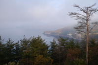 朝靄に包まれた奥琵琶湖