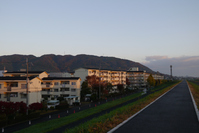 山川合流地点から天王山を望む