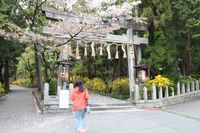 椎尾神社