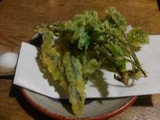 コシアブラとタラの芽の天ぷら