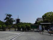 たぶん初めて来た東寺さんあすが弘法市