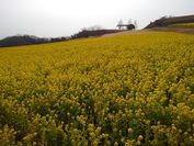 淡路島SAで朝ご飯