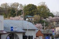 春の山崎駅