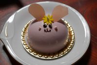イチゴのケーキ、うさちゃん(笑)
