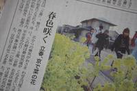 新聞記事の文に「春菜」をみつけた