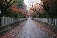 向日神社