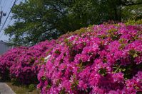 20130505_1.jpg