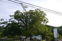 20130526_4.jpg