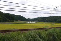 のんびりタイム