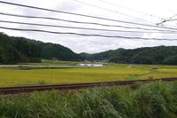 20130908_3.jpg