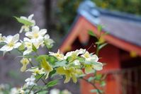 椎尾神社