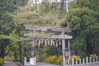 椎尾神社鳥居