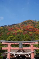 白髭神社