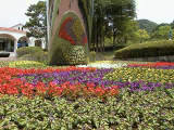 お花がいっぱい